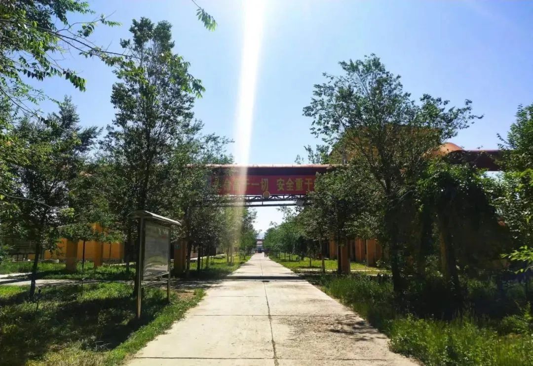宝石花·有声 | 十年，我爱上了你——恒盛